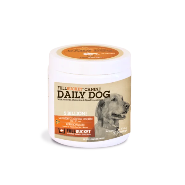 Eleifend donec pretium vulputate sapien sagittis