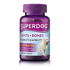 vestibulum-sedarcu-nonodio-euismod