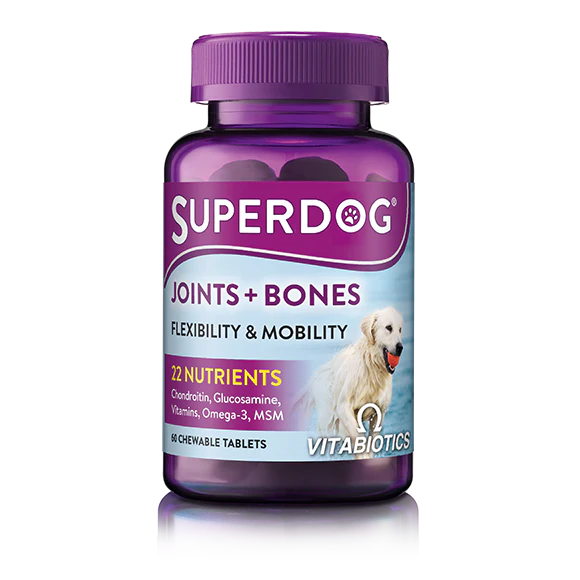 Vestibulum sedarcu nonodio euismod