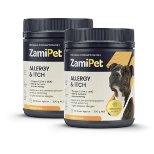 tellus-molestie-nuncnon-blandit