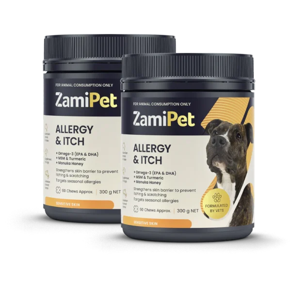 Tellus molestie nuncnon blandit elementum